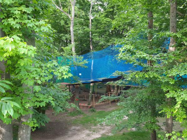 Parcours dans les arbres Chaville